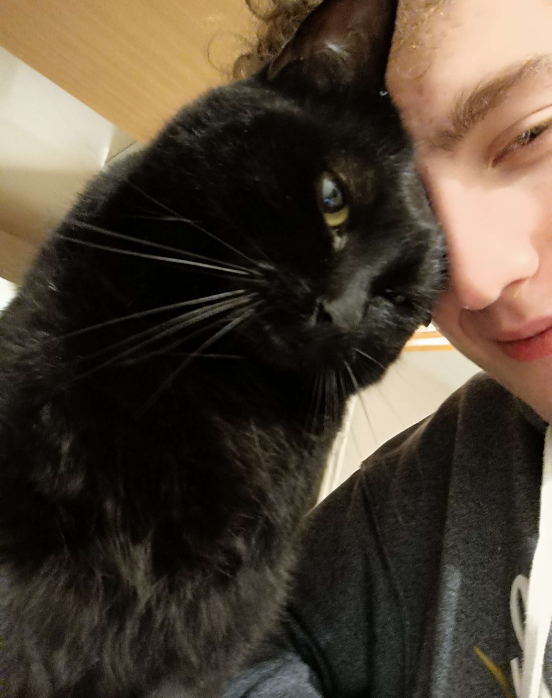 Tiago et son chat noir